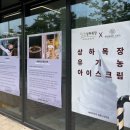 나성동_세종예술의전당 앞 이미지