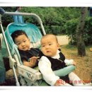 송부자한의원 이미지