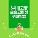 주식회사송이향 이미지