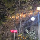 [경주현지인맛집]에덴동산