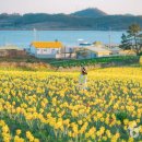 선도민박 이미지