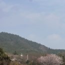 신성주유소 | 강진 남미륵사3월29일 최근 빠르게 먼저 다녀온 후기