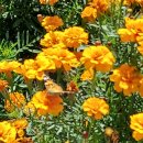 갈산리 마을회관 이미지