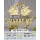 백조사 이미지