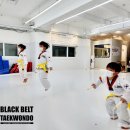 깃든태권도장 이미지