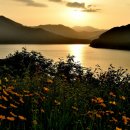 부평선착장 이미지