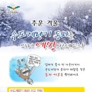 기동반-91 네이버블로그