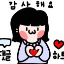 다인 미용실 - 종로구 | 다인 미용실