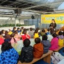 새소망어린이집 이미지