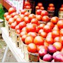 비자농장 이미지