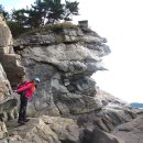 학암포 분점도 이미지