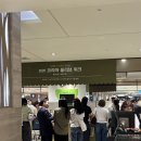 바이오올쏘코리아(주) | 롯데백화점 본점 '2026 코리아 올리브 위크' 다녀온 후기! 초보자용 구매 꿀팁 ,가격 총정리 🫒