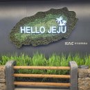 하얀여행사제주 | 김포공항 국내선 제주항공 이용기,모바일 탑승권 꿀팁
