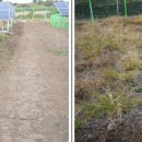 정원태양광발전소 이미지