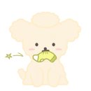 포리애견 이미지