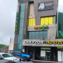 더 펫츠 | 제주고양이카페 더펫츠카페 솔직방문 후기