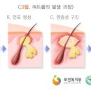 이화별의원 이미지