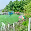 아임버디 이미지