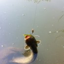 병암리회관 이미지