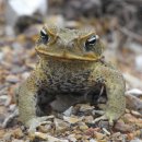 동부 동물병원 이미지