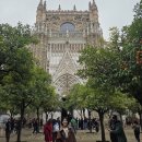 세비야 여행 필수 코스, 웅장한 세비야 대성당과 히랄다 탑