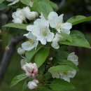 서촌공원 이미지