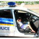 가락지구대 이미지