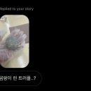 명동뷰티