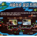 서출동류 물길 트레킹 길 Daum카페