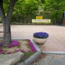 망향정휴게소 이미지