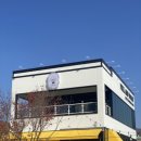 폴앤도기 이미지