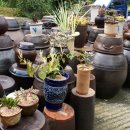 소들농장 이미지