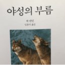 야성 - 강북구 도봉로33길 9 | 야성