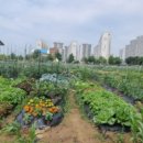 녹색농장 이미지