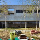 스왈로우 이미지