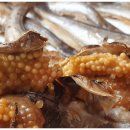 동해찜식당 이미지