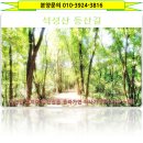 더포레스트 - 31596 | 더포레스트