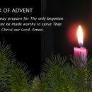 마태우리 이미지