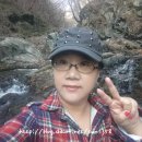 휴양림산장 이미지