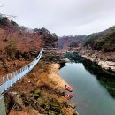 2022-주182 이미지