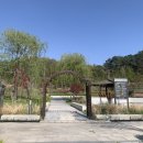 세종동_전월산 무궁화 테마공원 이미지