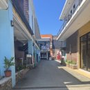 댕댕살롱앤스파 | 보홀 마사지샵 타이문 , 타이 파라다이스 스파 앤 살롱 2곳 직접 체험한 후기