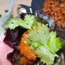 푸지미 티스토리