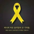 노란 리본 달기 캠페인 (세월호) 이미지