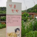 장골민박 이미지