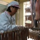 구룡포이선옥과메기 이미지