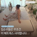 서울앵커호텔 | 슬립퍼 컴포트 플러스 침대 매트리스 어때? 솔직한 사용후기