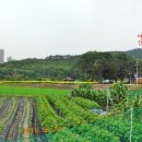 삼아어산 이미지