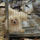 유성동양경매장 이미지