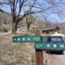 대한불교 조계종 청련사 | 강화도 진달래 축제와 벚꽃이 활짝 핀 고려산 등산 코스로 알려진 강화 청련사 절 사찰 유래 주차장